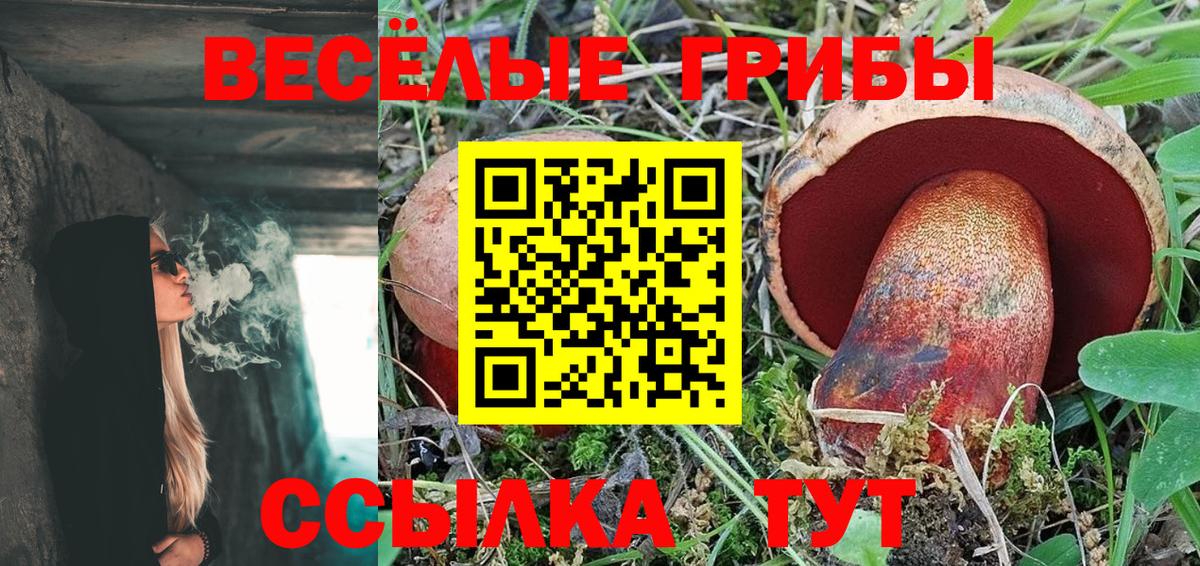 Чебаркуль  Галлюциногенные грибы GOLDEN TEACHER  Галлюциногенные грибы Psilocybine cubensis  Вход с VPN 