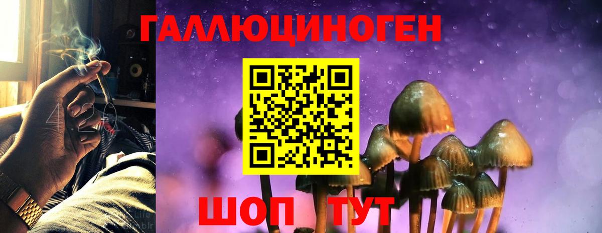 Псилоцибиновые грибы GOLDEN TEACHER Чебаркуль